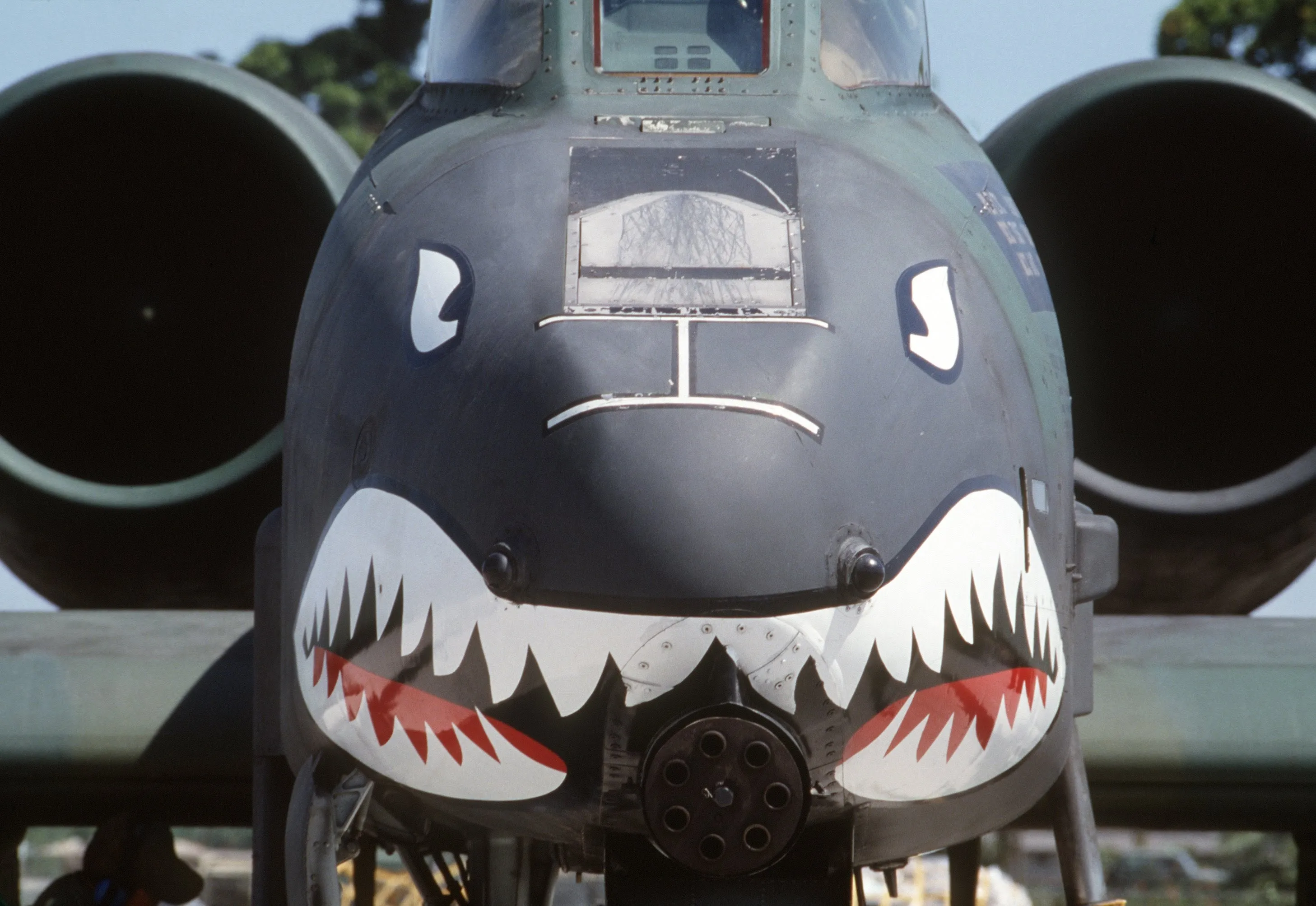 A-10 Thunderbolt II (Warthog)