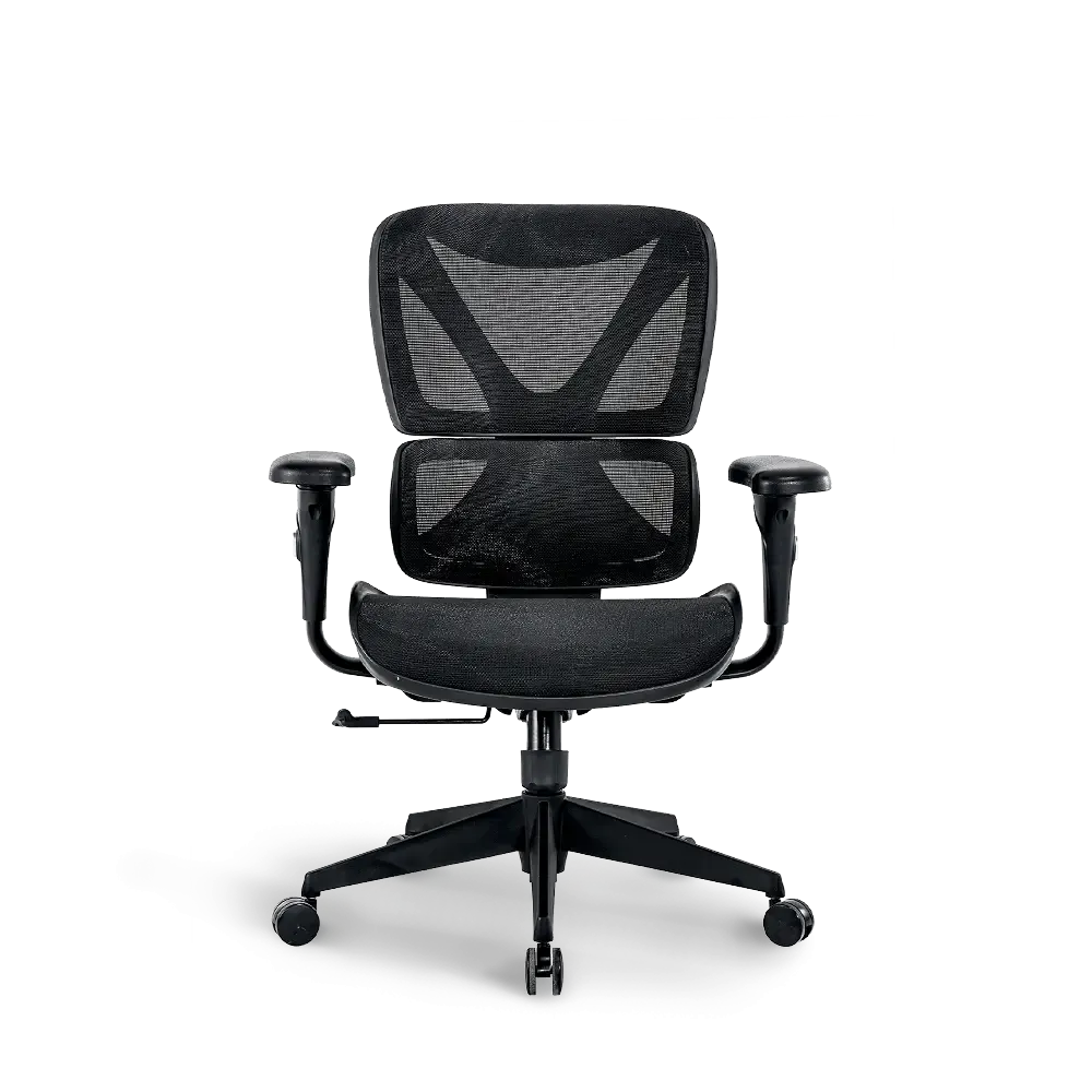 Bea Ergonomic Office Chair