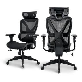Bea Ergonomic Office Chair