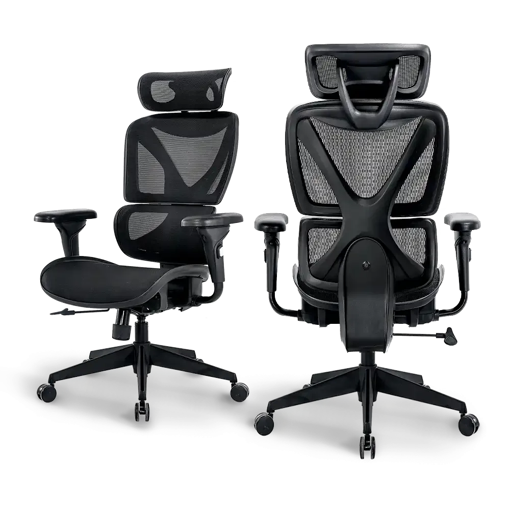 Bea Ergonomic Office Chair