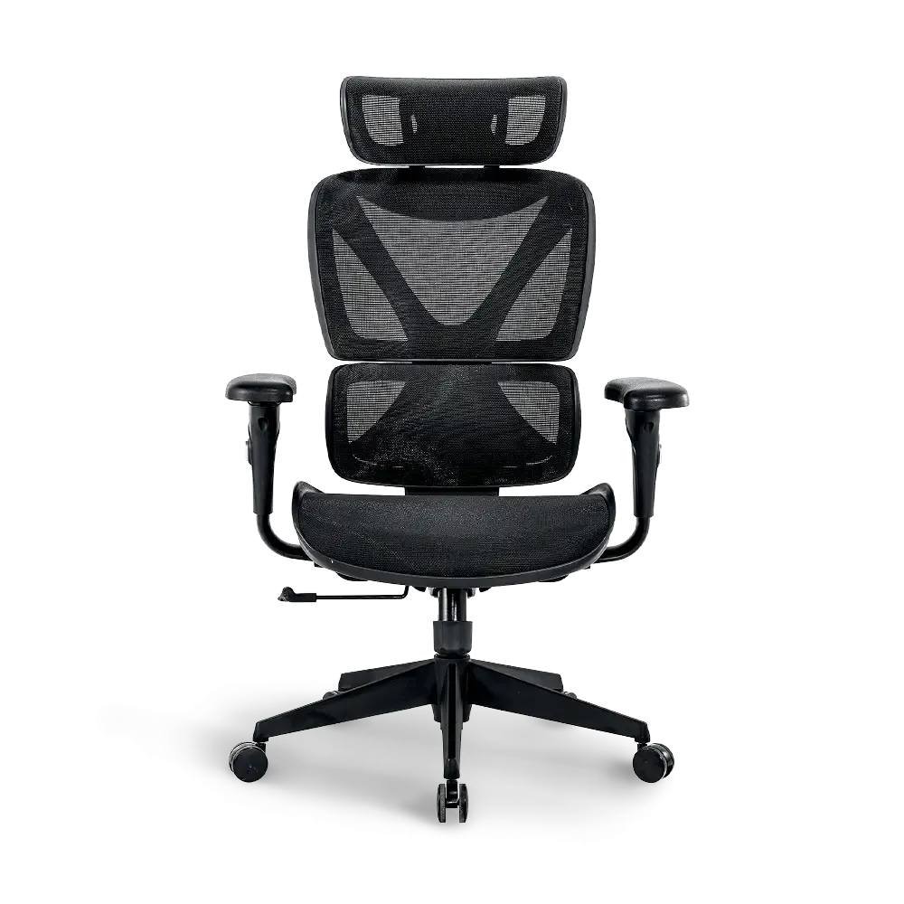 Bea Ergonomic Office Chair