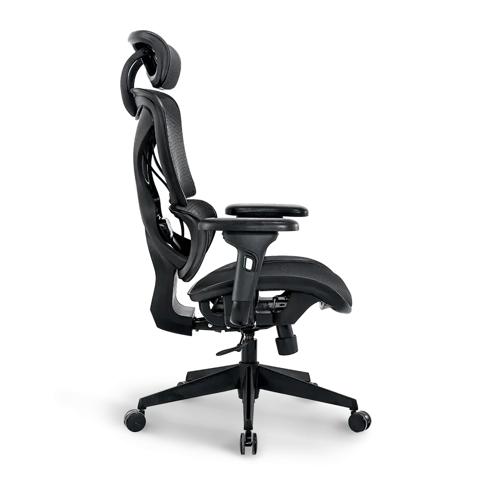 Bea Ergonomic Office Chair
