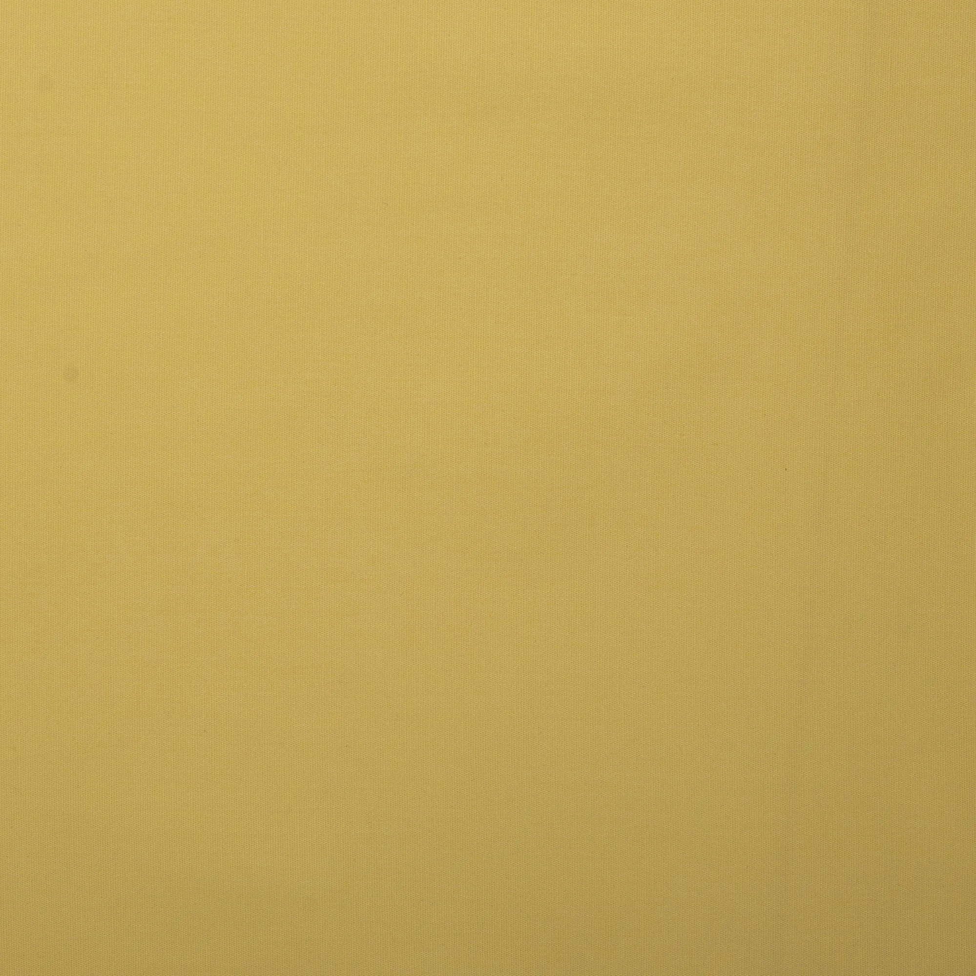 Solid Stretch Cotton Poplin - PAULINA - Cream